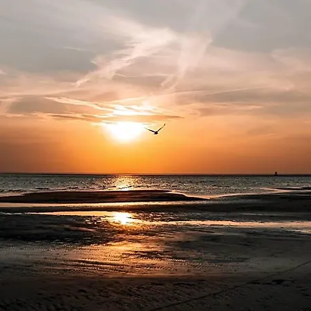 Hotell Hedon & Pärnu